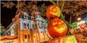 Veranstaltungsbild Halloween Party